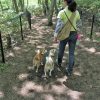 せたびぃ家、北へ！（その12）