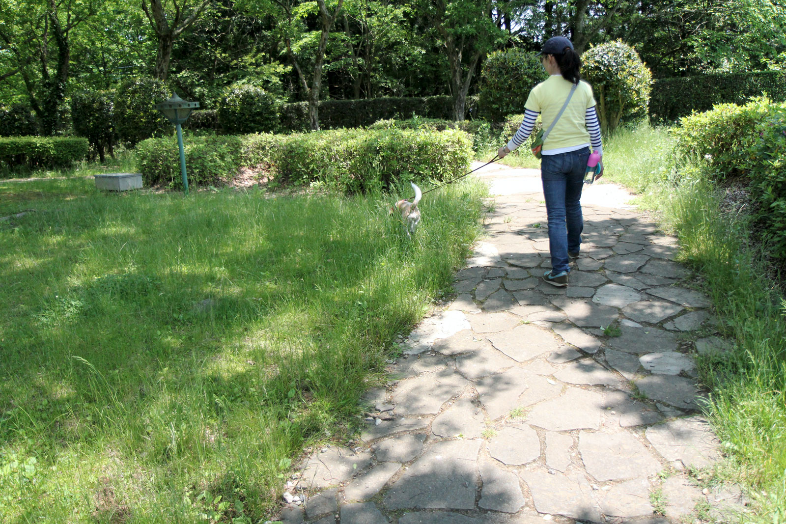 那須高原SAでお散歩