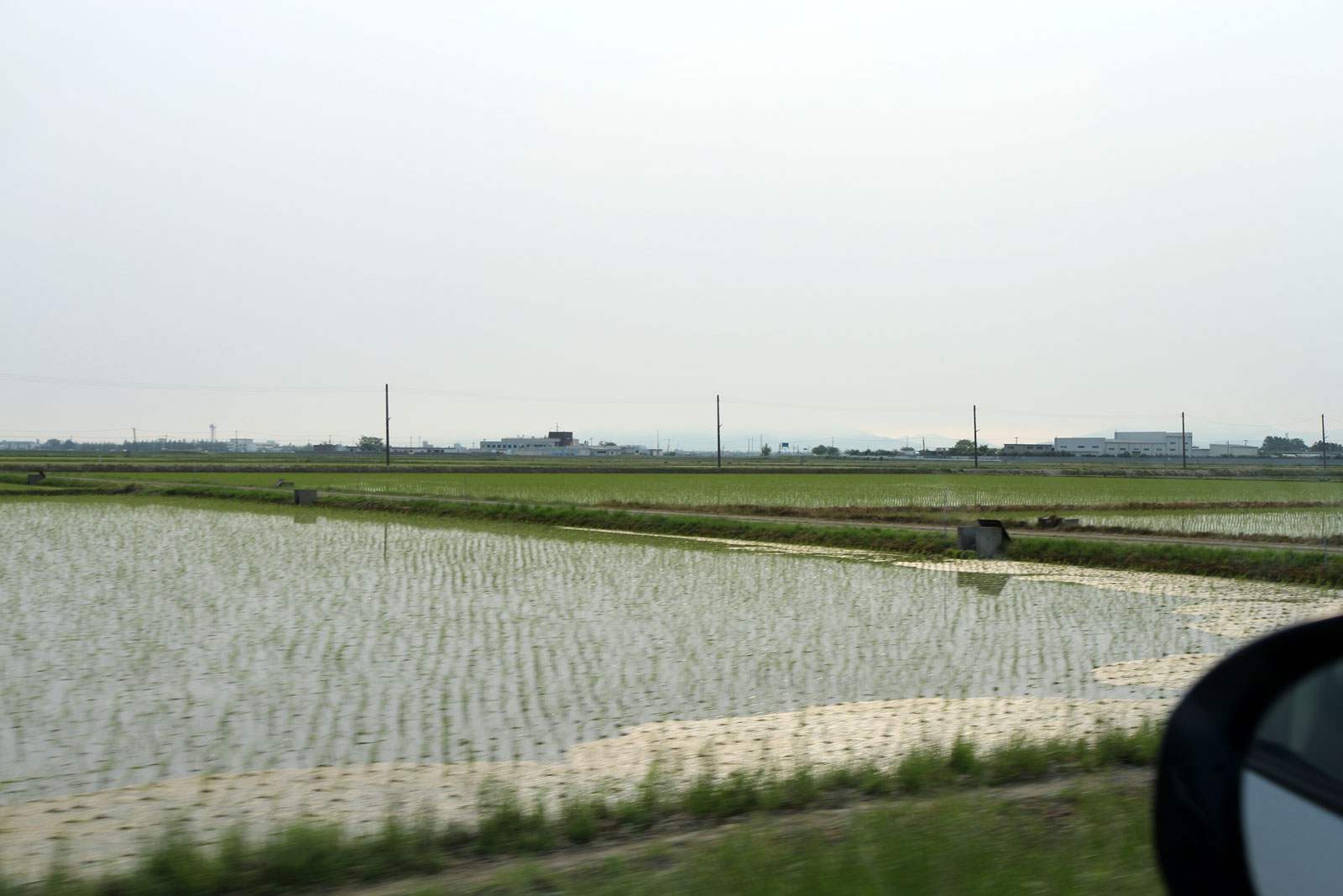 田園