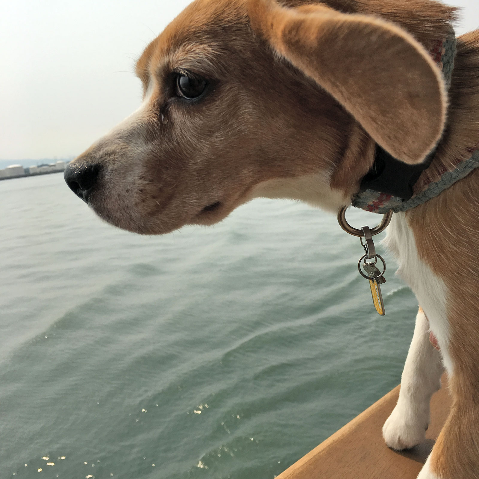 海風に吹かれて