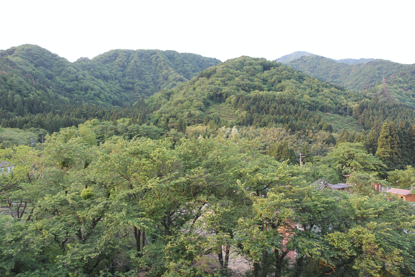 山の朝