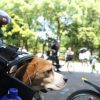 自転車で遠出してみた