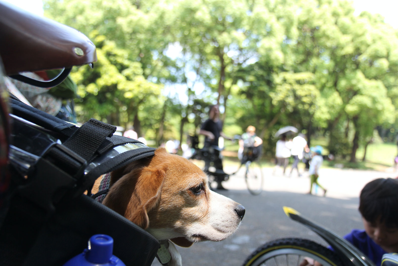 ここは代々木公園
