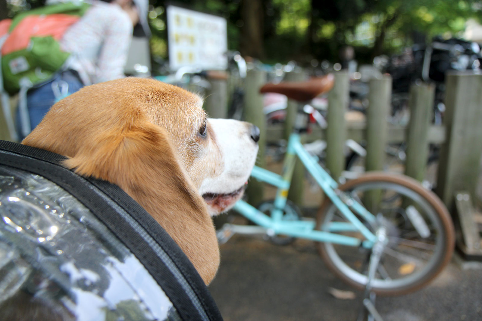 また自転車