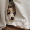 窓際のひみつ基地