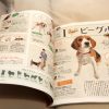 いぬのきもち2月号の犬種シリーズに空花登場