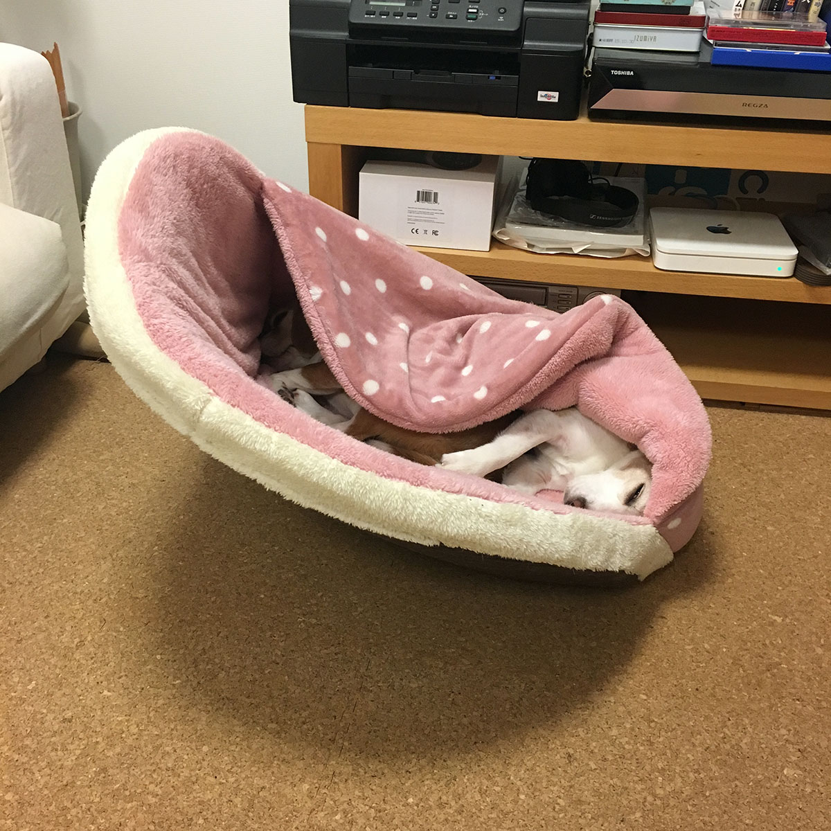 しまドラの使い方7