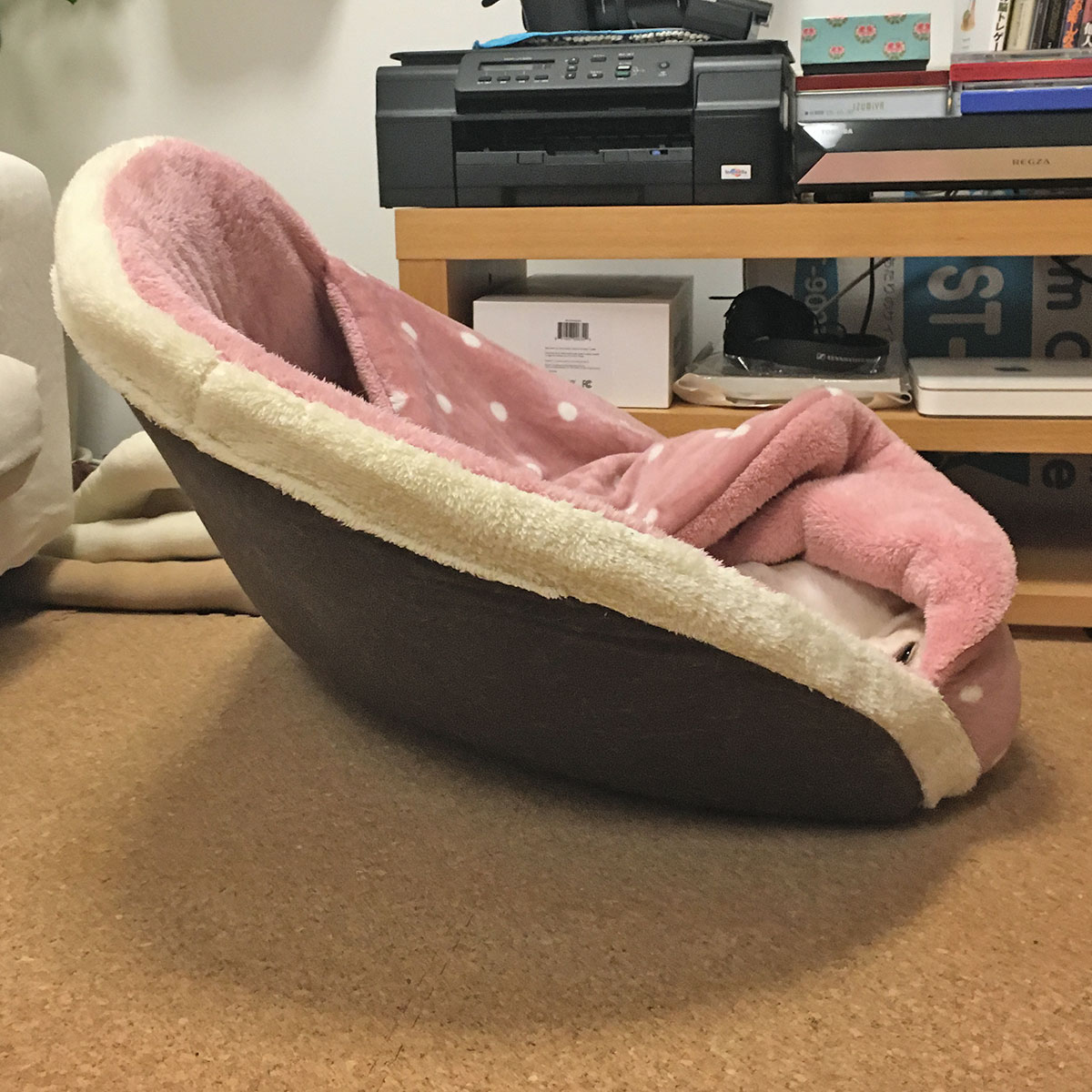 しまドラの使い方8