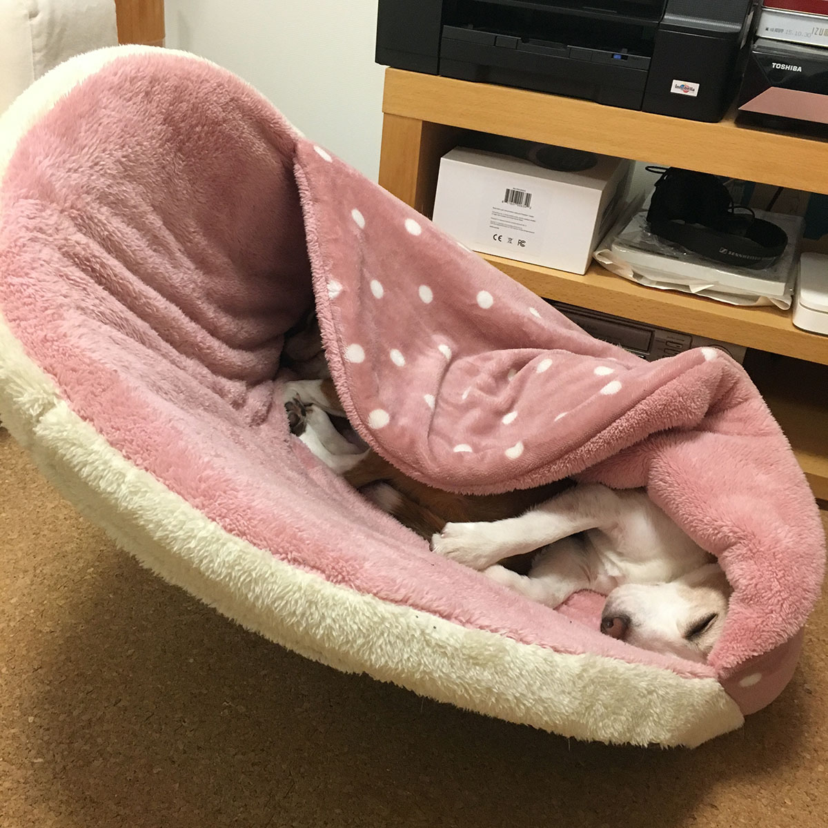 しまドラの使い方9
