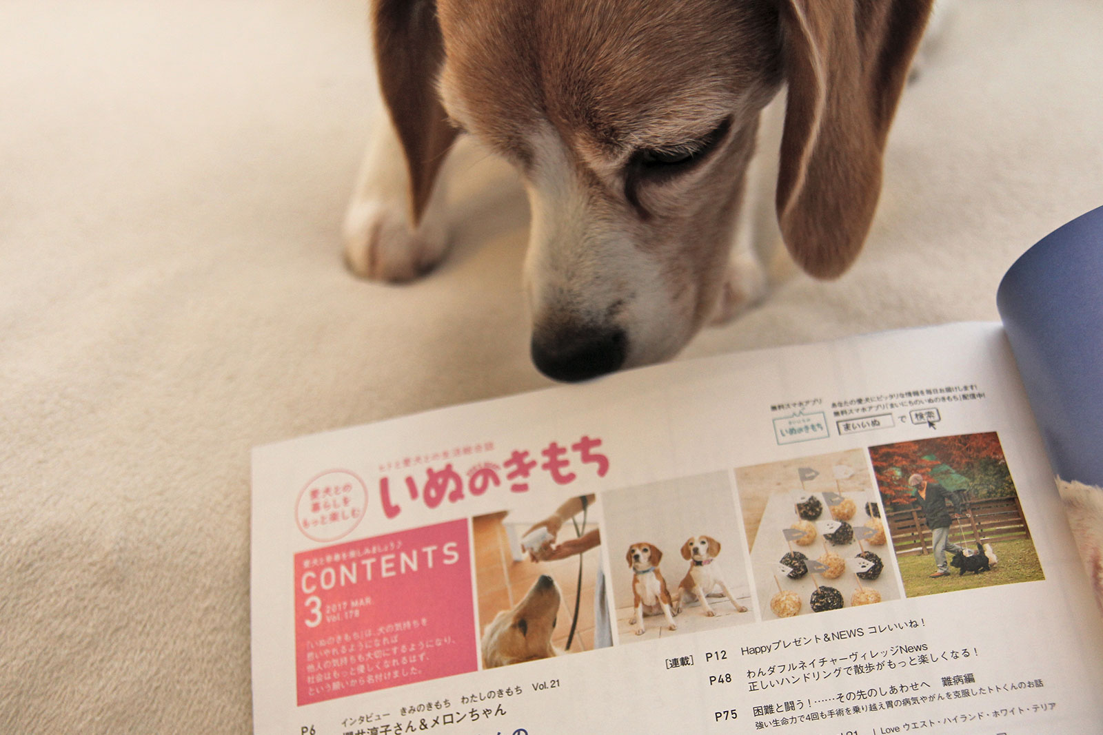 いきなりのツーショット