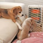 ストーブ前にて