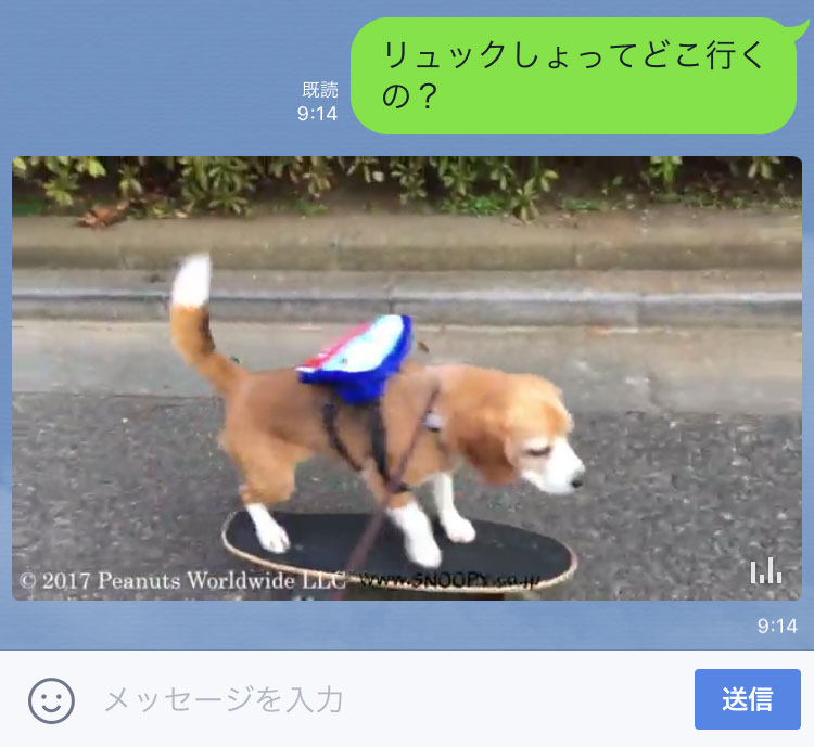 いぬきもLINE