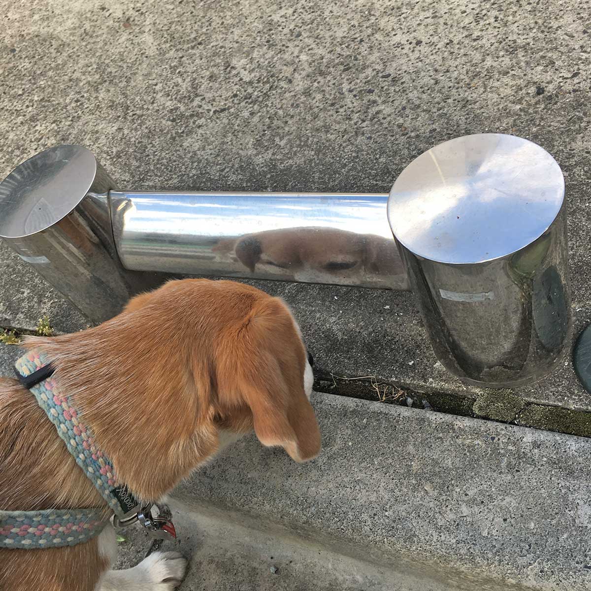 考える空豆