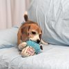アイスクリームのおもちゃ