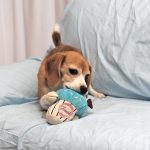 アイスクリームのおもちゃ