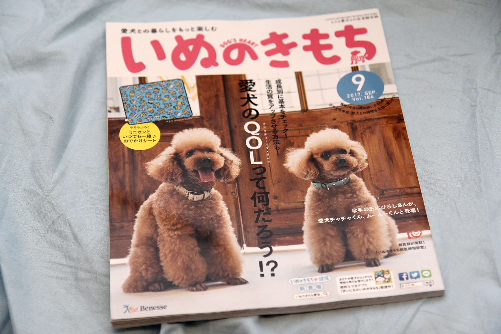 2017年9月号