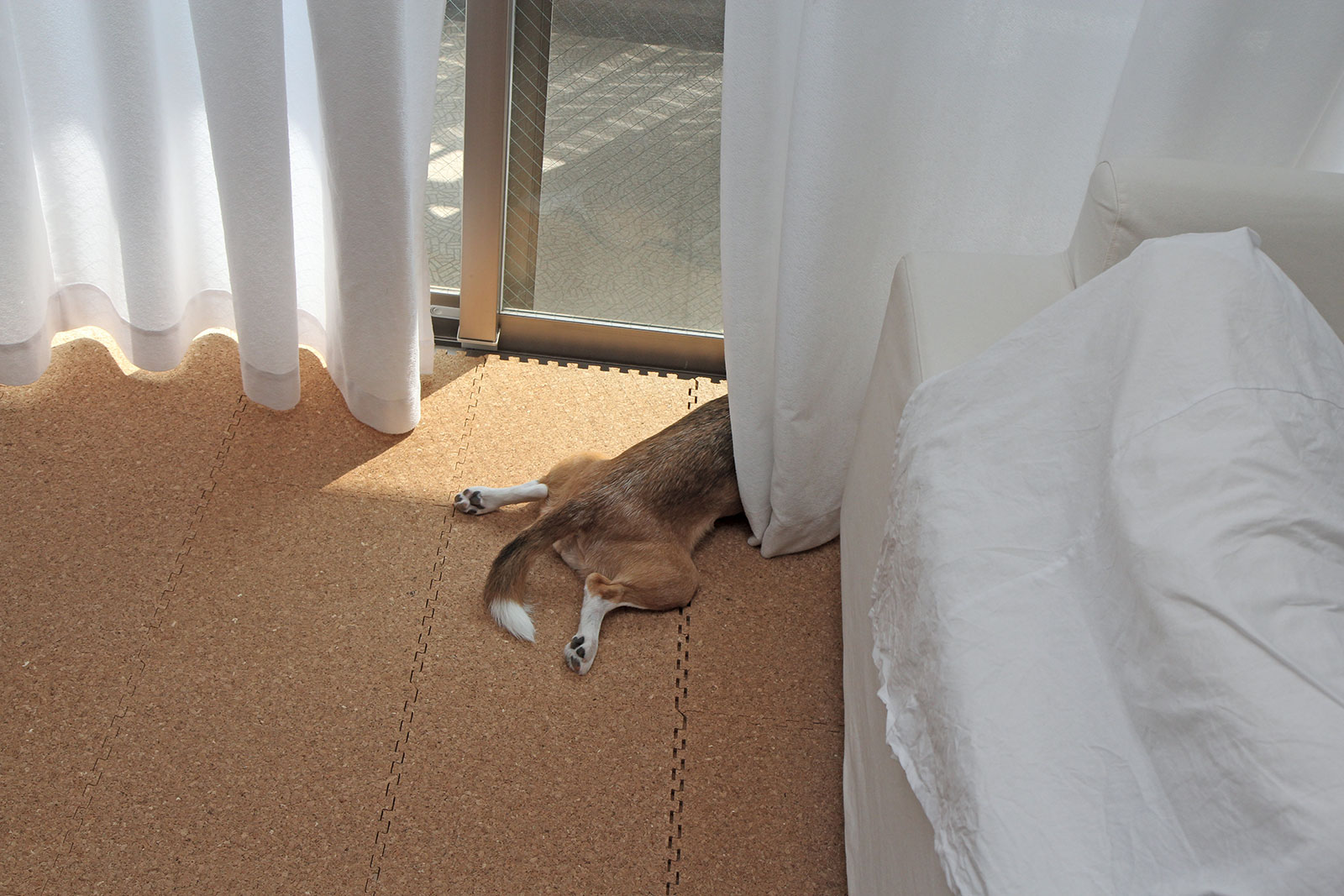 小さな頃から日なた好き