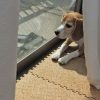 空と日なたぼっこ。