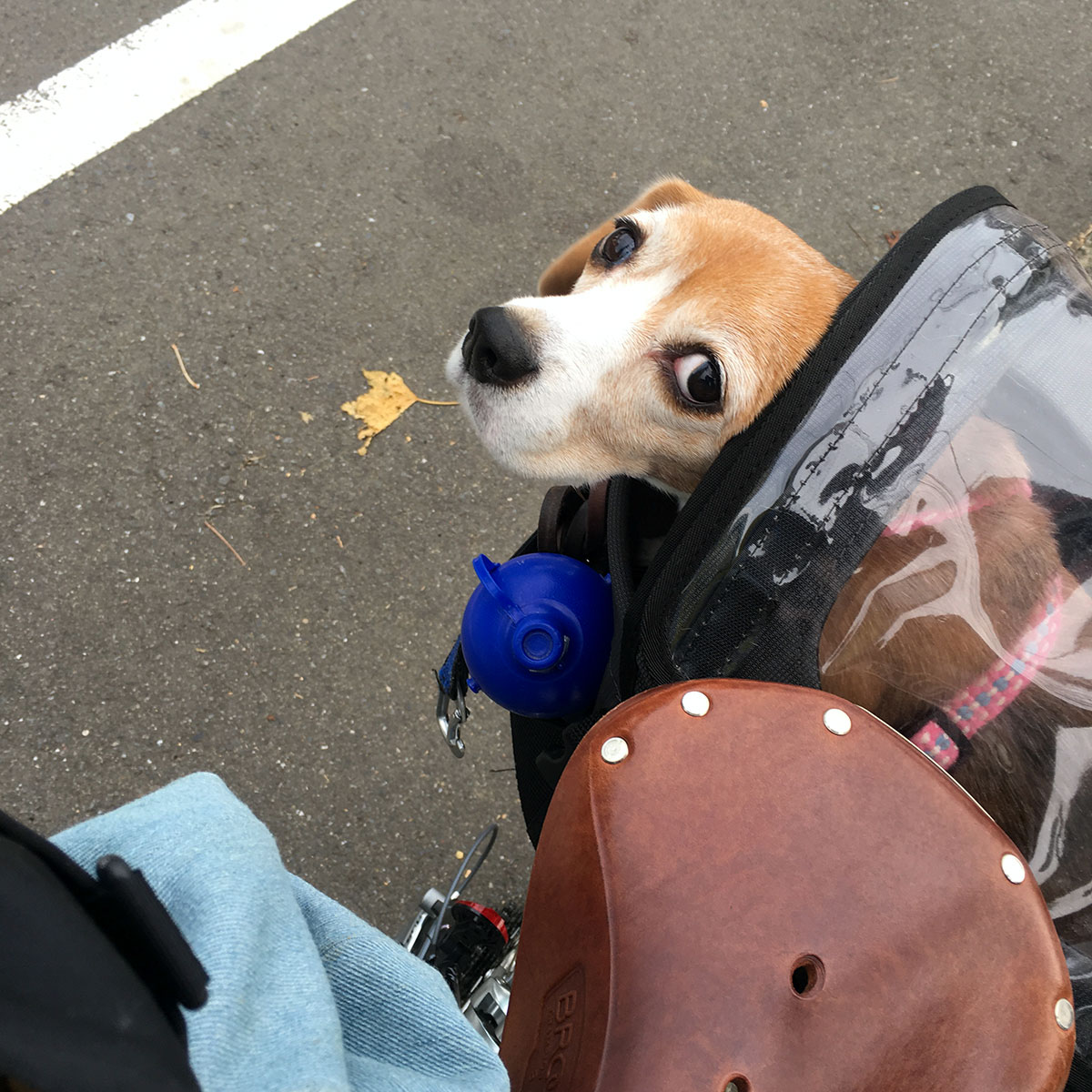 自転車に乗って。