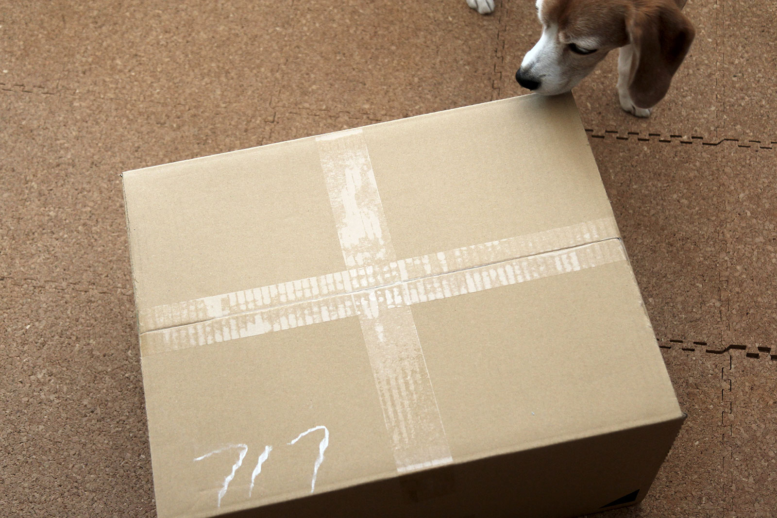 荷物届いた