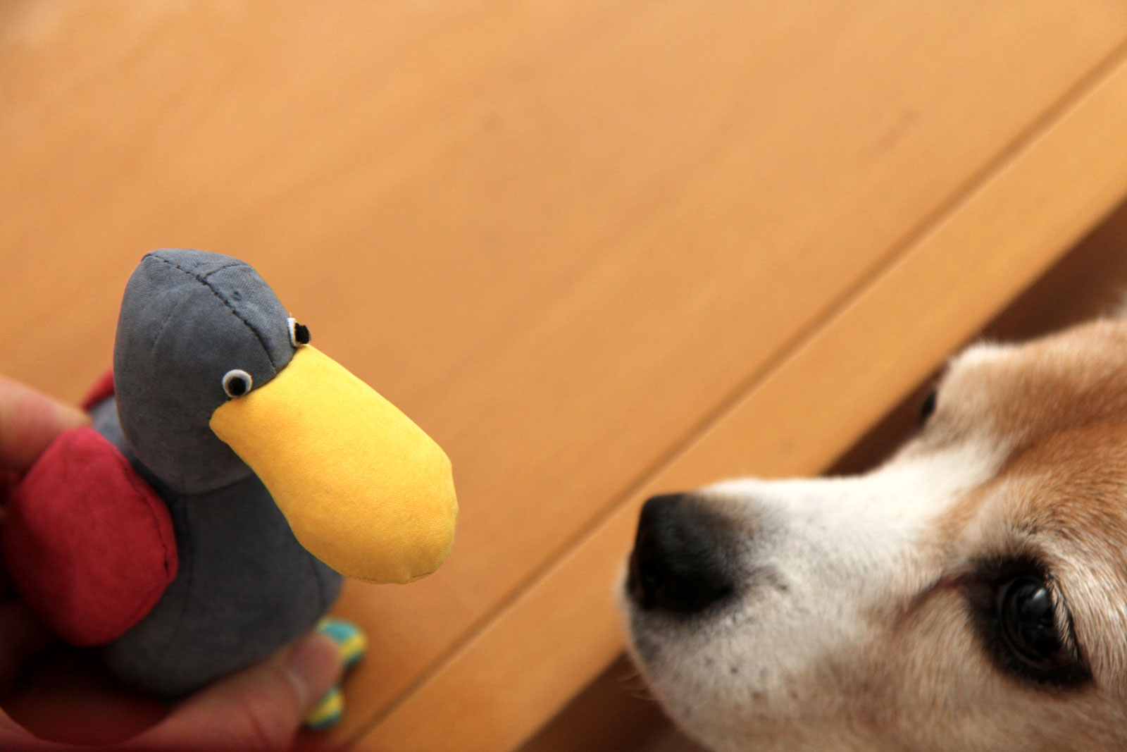 鳥のおもちゃ02