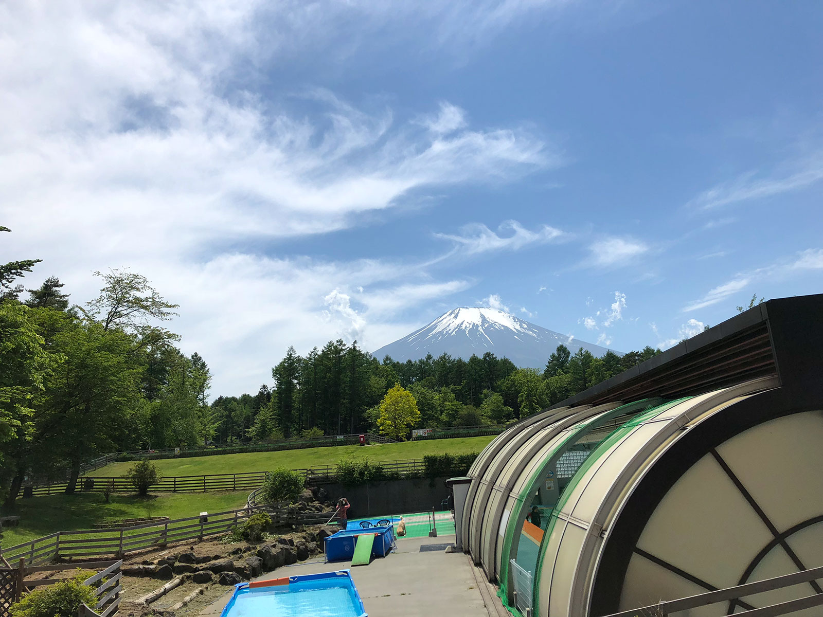 久しぶりのワフ