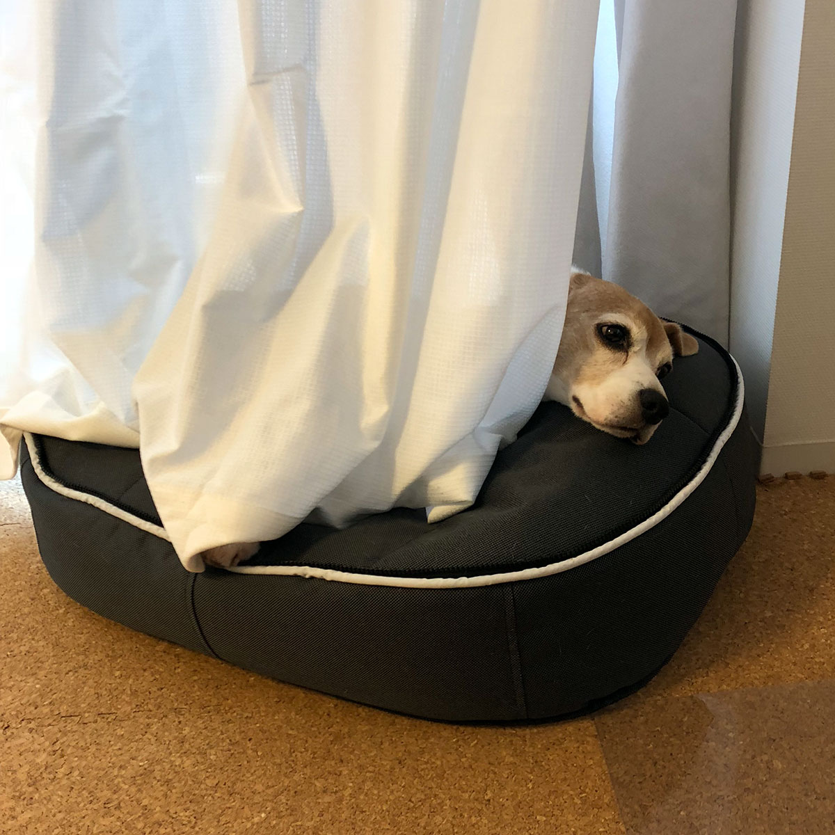 ばあ