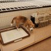 またあたらしいケージ買いました