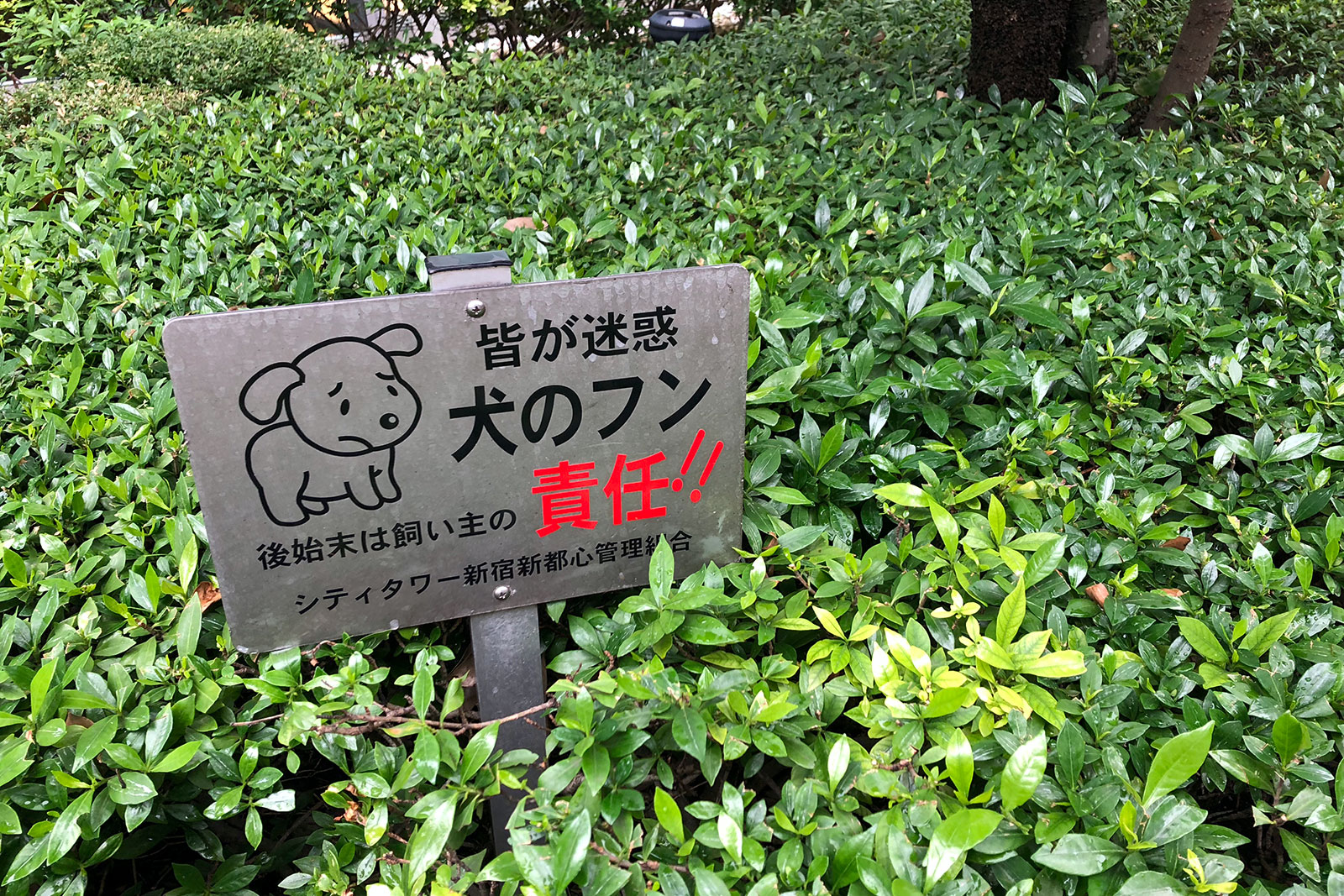 ステンレスなタイプ