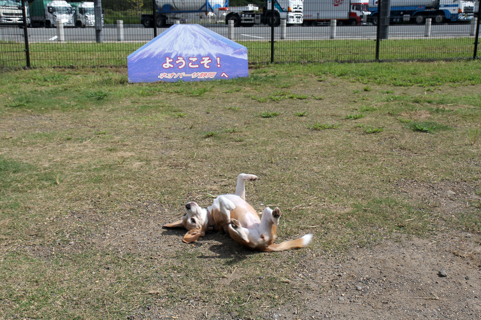 平日の昼間からゴロゴロ