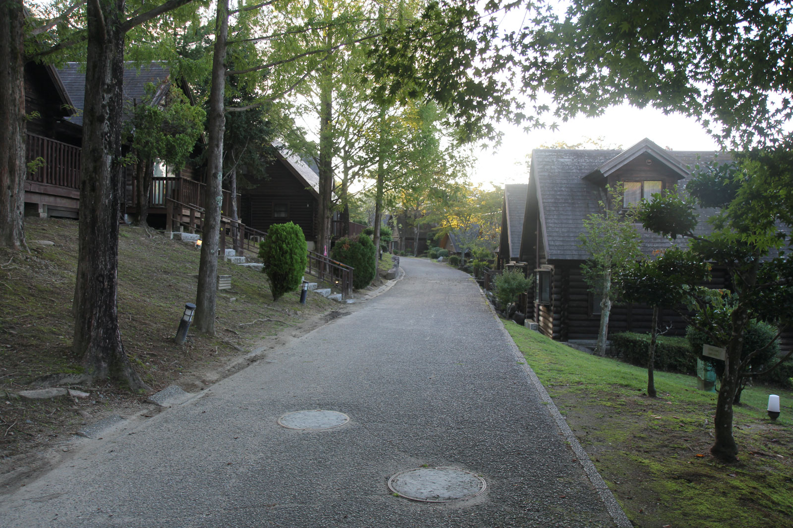 朝の散歩道