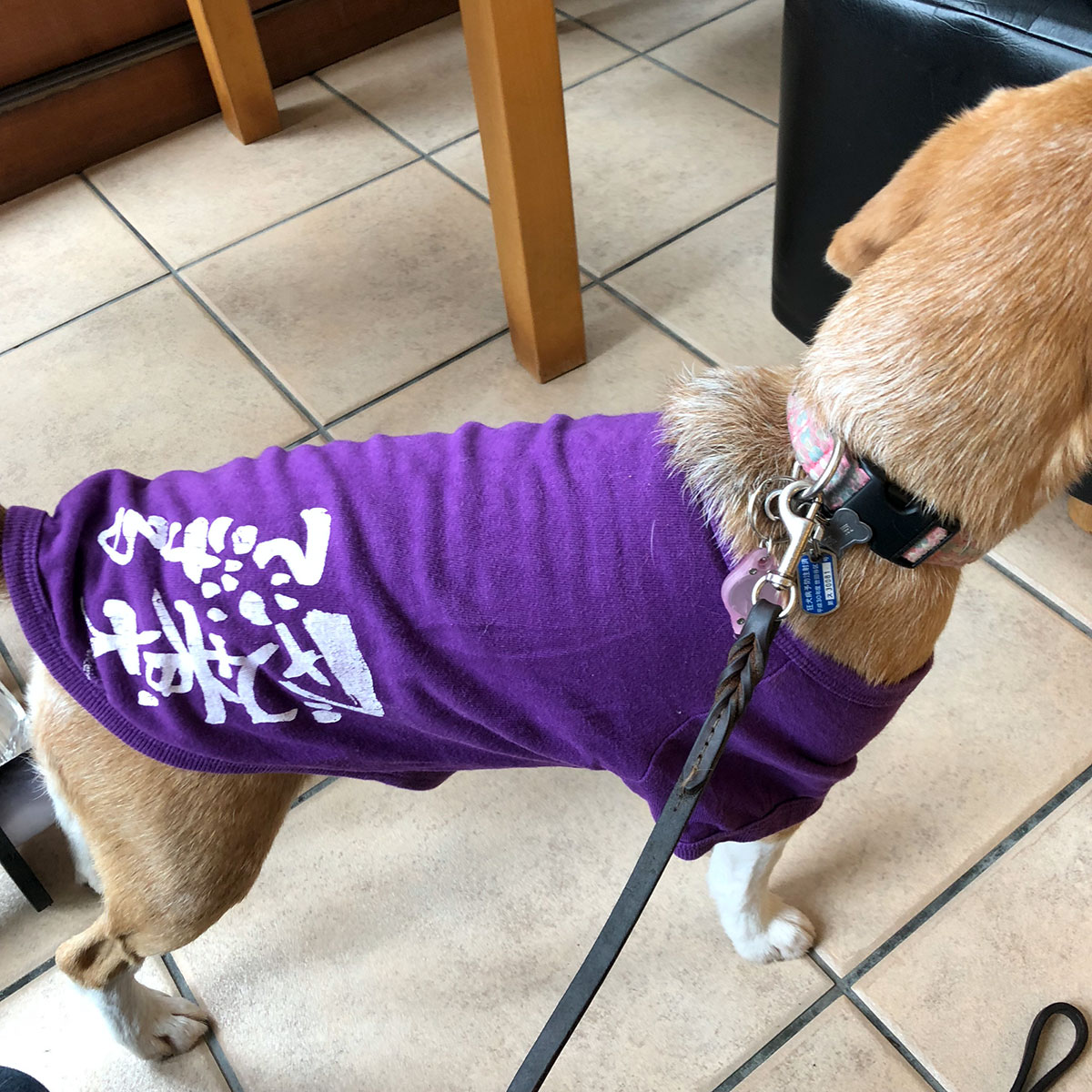 Tシャツ