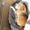 冬のベストポジション
