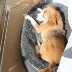 冬のベストポジション