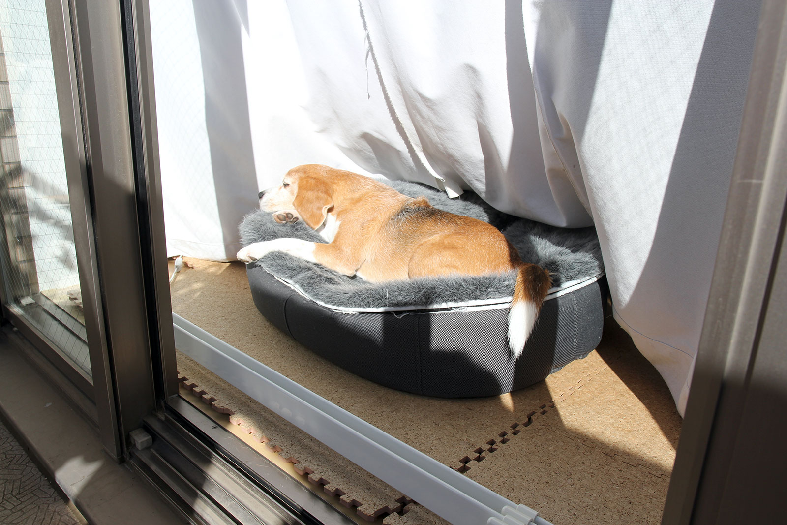 お気に入り