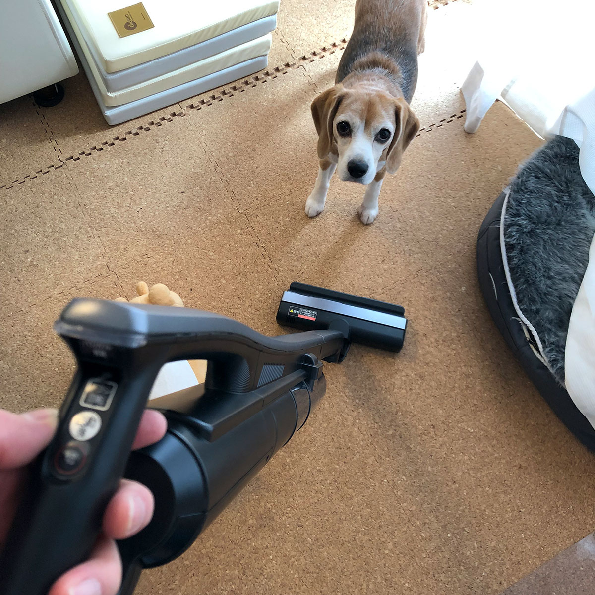 新しい掃除機