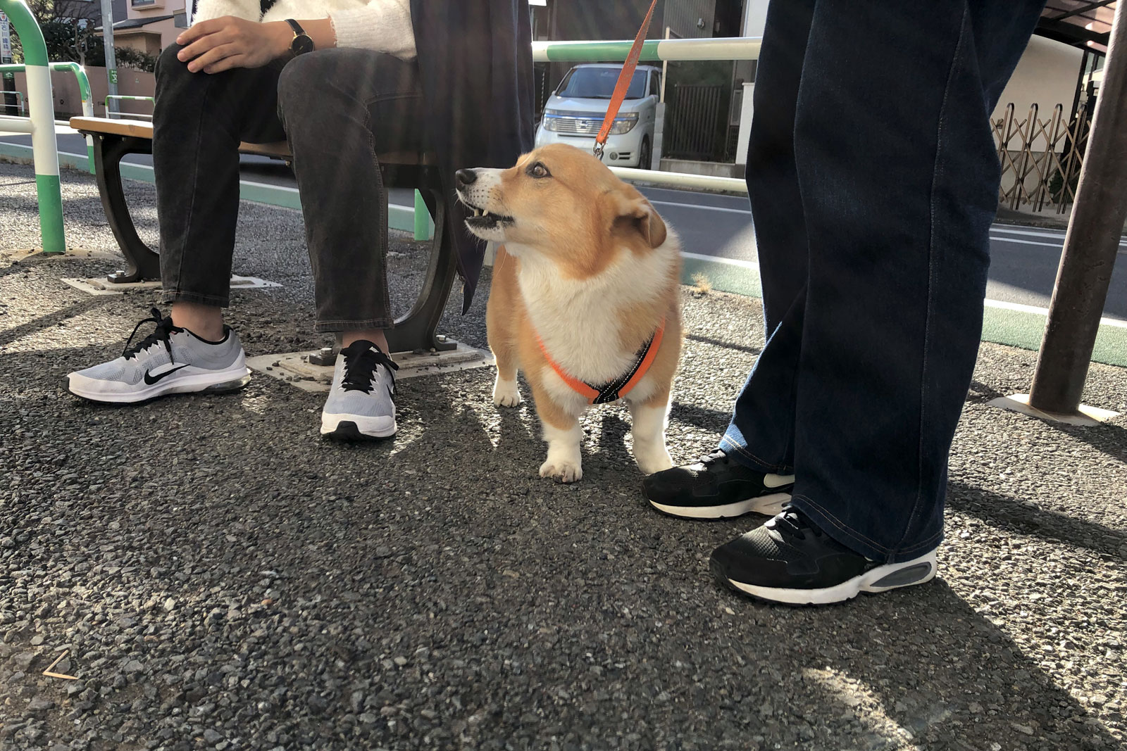 ゆずくん