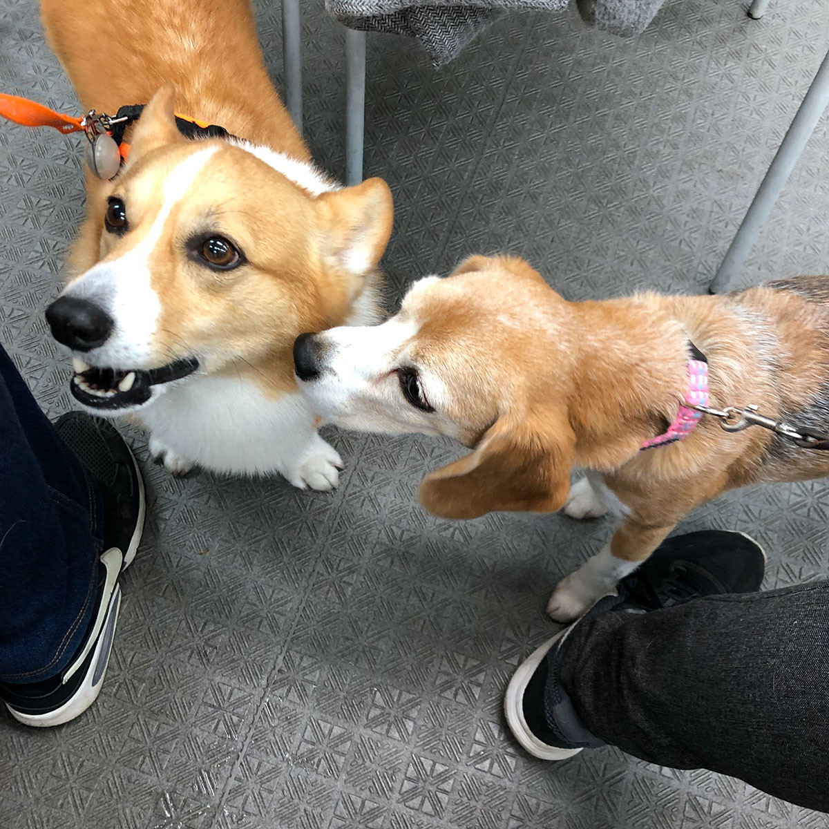 コンタクト