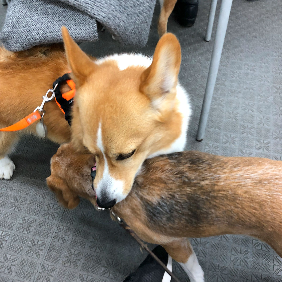 ぶつかる！