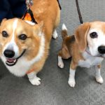 ゆずくんとの再会