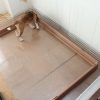 トレーつきケージその後（1）