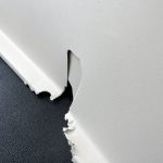 トレーつきケージその後（2）