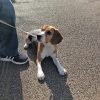 ちゃーりーさん