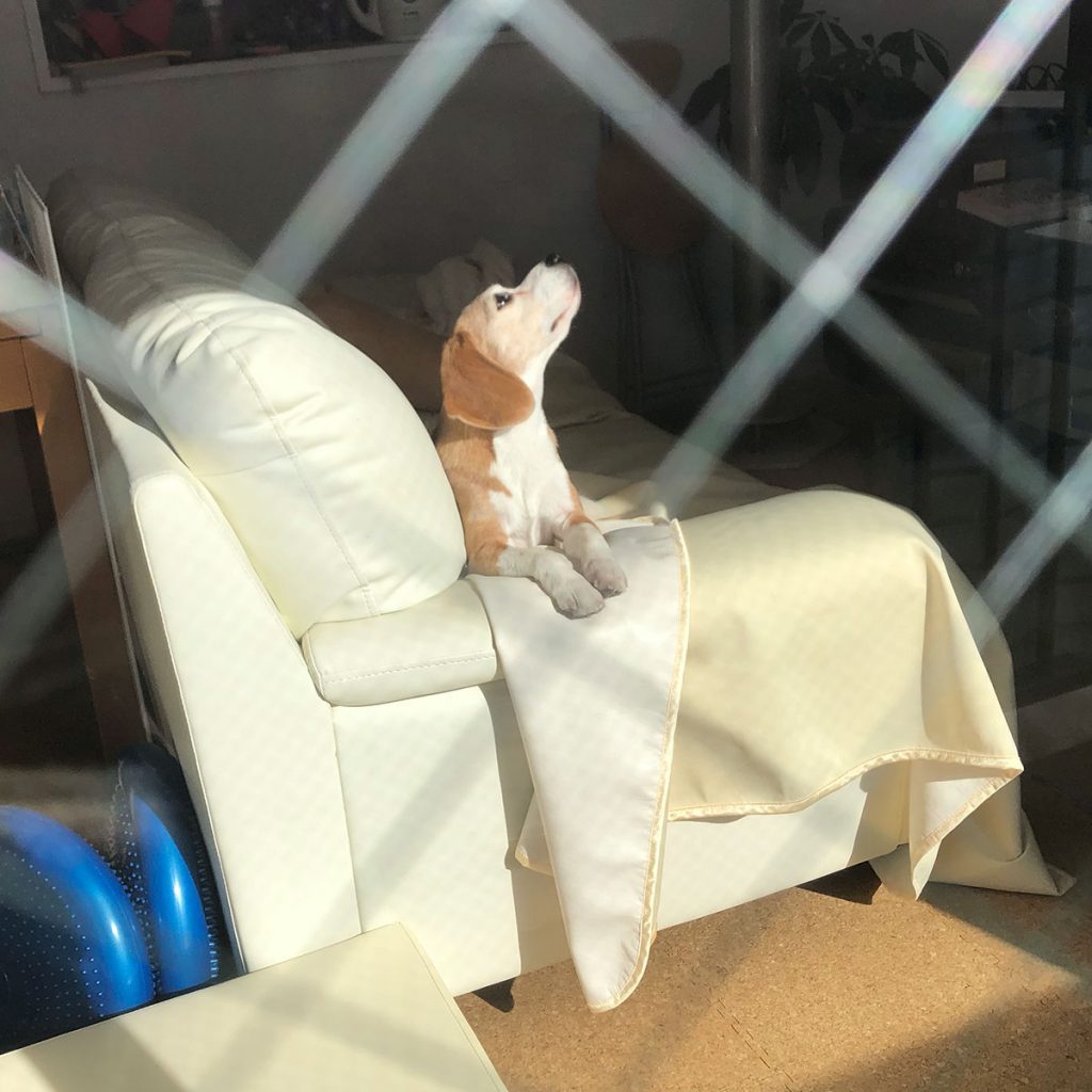 なんか見えてるの？