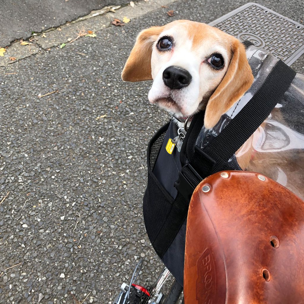 自転車に乗る空豆さん