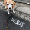 W浅埋