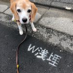 W浅埋