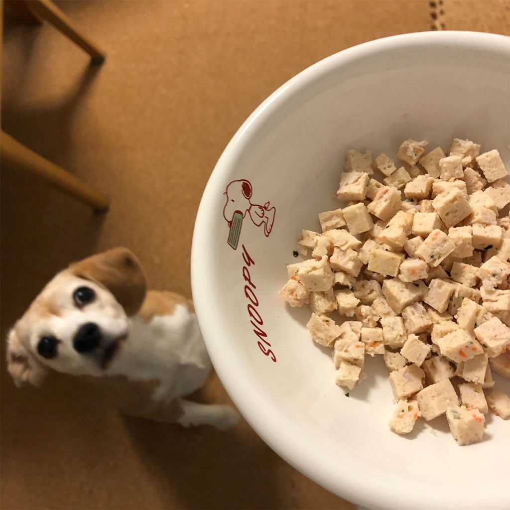 空豆さん大注目