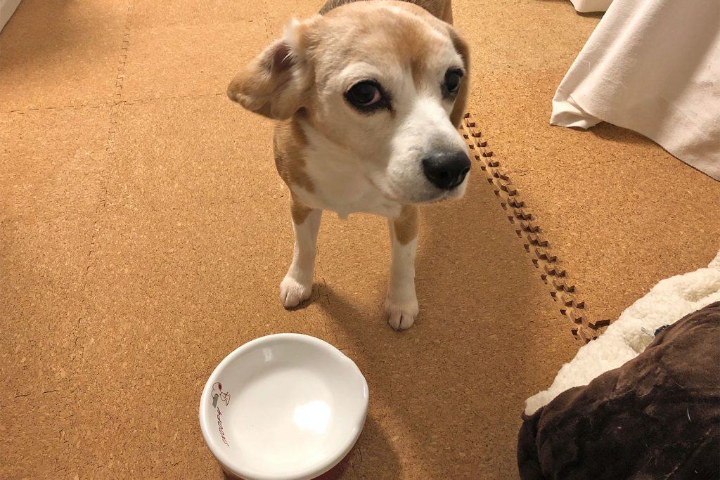 何もなかったかのような風情