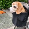 2020年7月頃の芦花公園ドッグラン